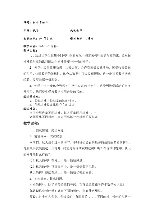 树叶中的比教学设计