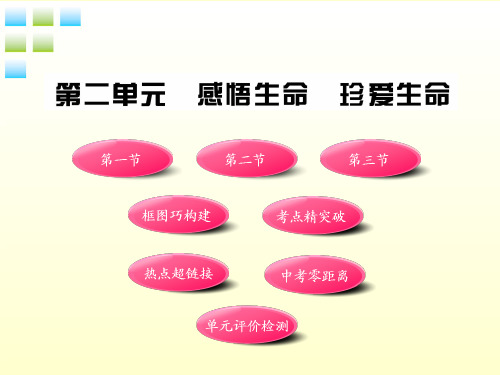 湘教版初二上册政治2.0第二单元感悟生命珍爱生命PPT课件(1)