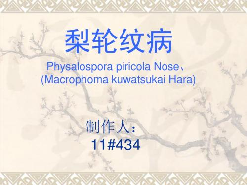 梨轮纹病