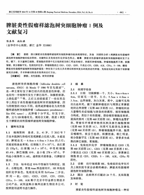 脾脏炎性假瘤样滤泡树突细胞肿瘤1例及文献复习
