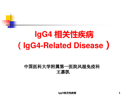 igg4相关性疾病课件