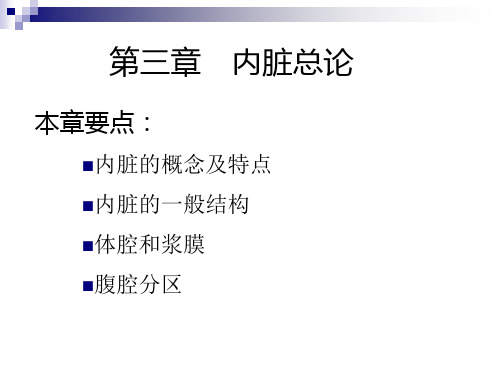 家畜解剖课件：内脏学