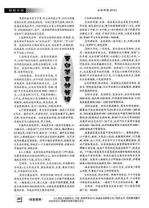 夏白菜高效栽培