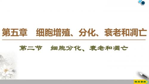 2019-2020学年苏教版生物必修1__ 第5章 细胞增殖_分化_衰老  第2节 细胞分化、衰老和凋亡