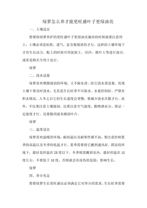 绿萝怎么养才能更旺盛叶子更绿油亮