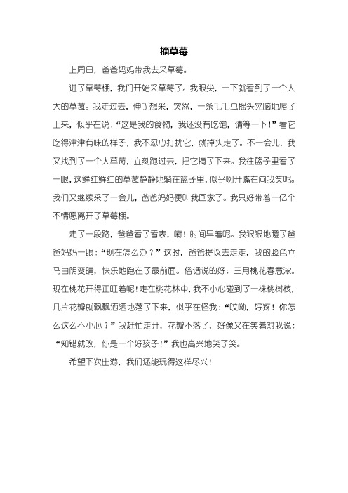 四年级作文：摘草莓作文400字