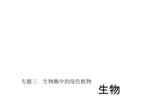 中考总复习生物(人教版)习题课件：生物圈中的绿色植物(共28张PPT)
