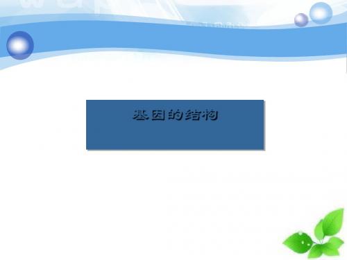 基因的结构ppt课件(自制)2