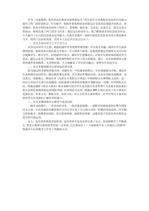 【精品】信息技术能力提升工程返岗总结