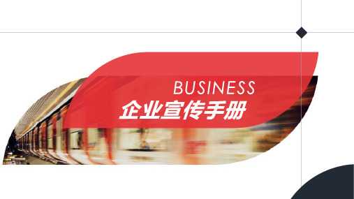 中药饮片公司简介ppt