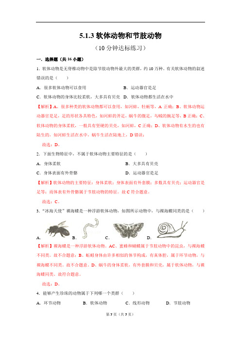 人教版生物八上5.1.3软体动物和节肢动物10分钟达标练习(解析版)