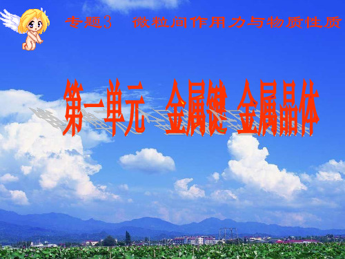 金属键金属晶体PPT课件