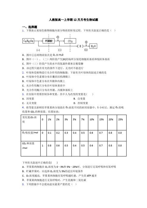 人教版高一上学期12月月考生物试题