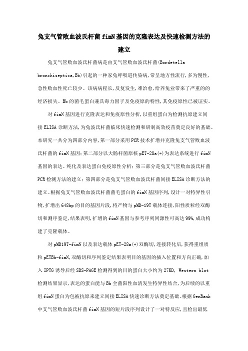 兔支气管败血波氏杆菌fimN基因的克隆表达及快速检测方法的建立