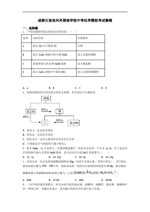 成都石室佳兴外国语学校中考化学模拟考试集锦