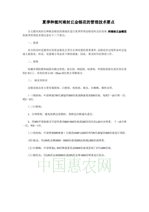 夏季河南封丘种植金银花的管理技术要点