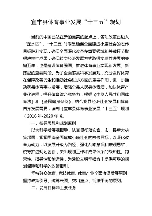 宜丰体育事业发展十三五规划