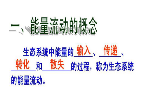 一轮复习  能量流动及计算易错题讲解
