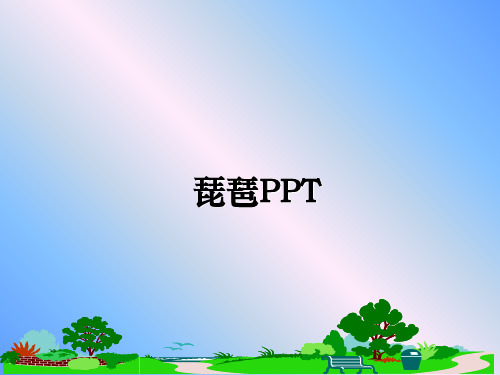最新琵琶PPT教学讲义ppt