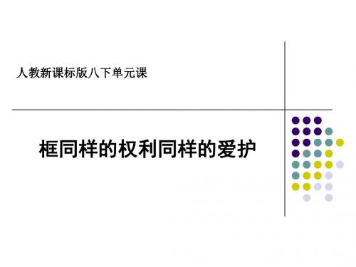 同样的权利,同样的爱护PPT课件14