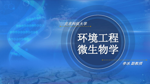 02-2.3放线菌、古菌及蓝细菌 课件