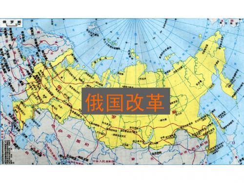 7.3.3俄国改革y