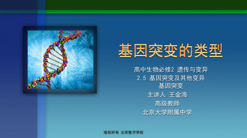 2基因突变的类型
