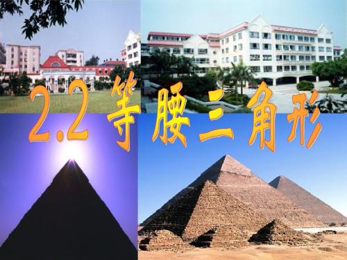 浙教版八年级上2.2等腰三角形课件