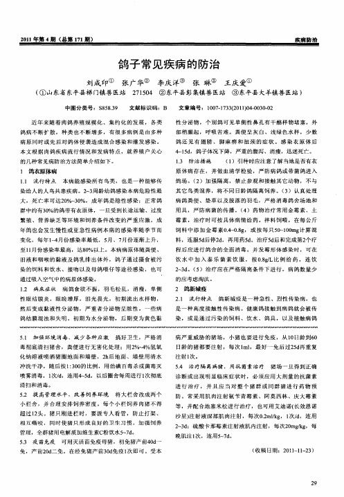 鸽子常见疾病的防治