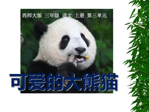 《可爱的大熊猫》PPT课件(上课用)2