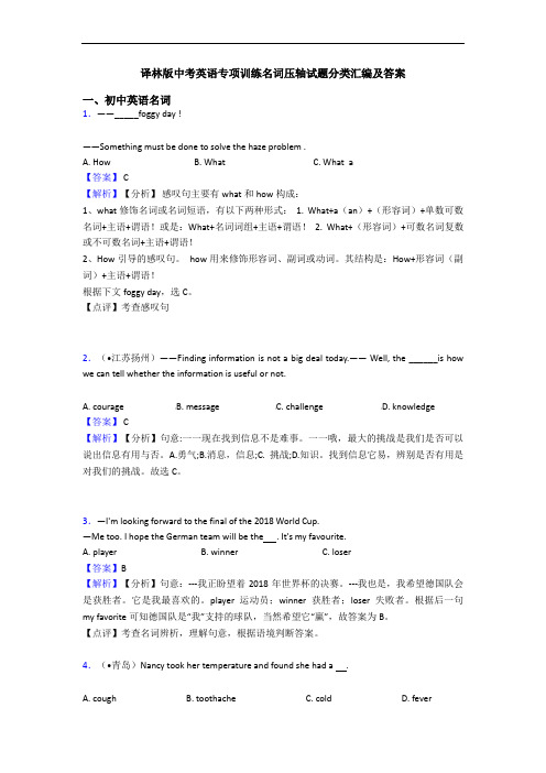 译林版中考英语专项训练名词压轴试题分类汇编及答案