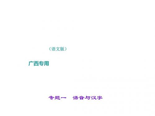 中考语文(广西   语文版)总复习课件 专题一 语音与汉字