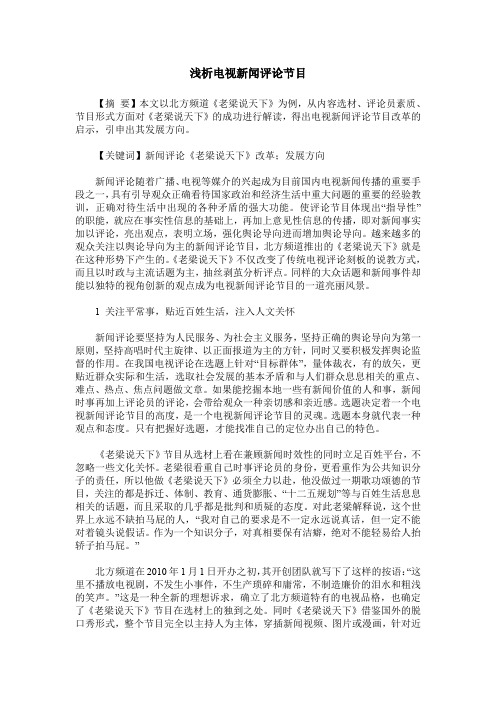 浅析电视新闻评论节目