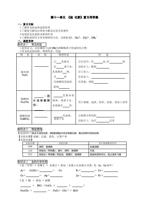 九年级化学第一轮复习第十一单元导学案