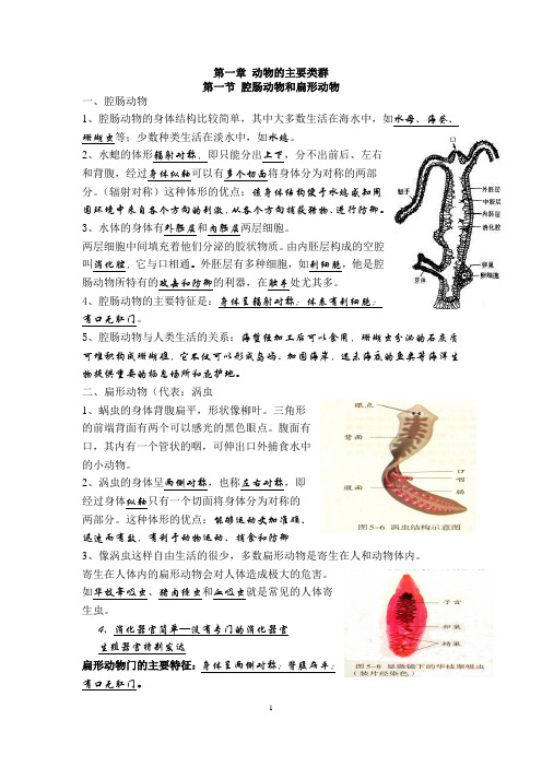 2013年八年级上生物复习提纲