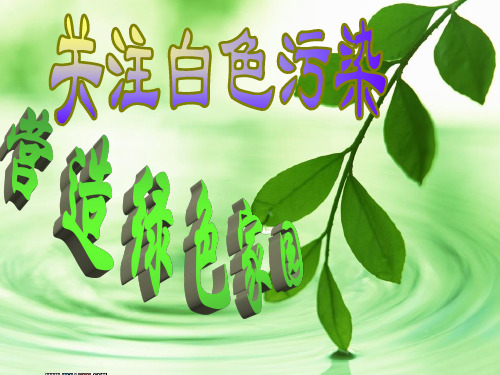 综合实践活动课件：关注白色污染营造绿色家园 (共24张PPT)