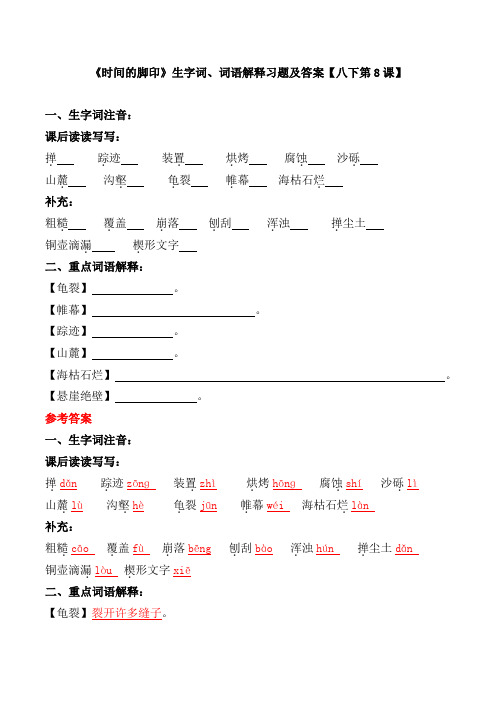 《时间的脚印》生字词、词语解释习题及答案【部编版八下第8课】