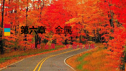 九年级化学下册 第六章 金属 6.3 金属矿物与冶炼同步练习课件