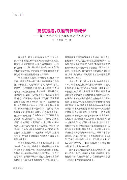 党旗猎猎,以爱筑梦助成长——长沙市雨花区砂子塘湘天小学发展小记