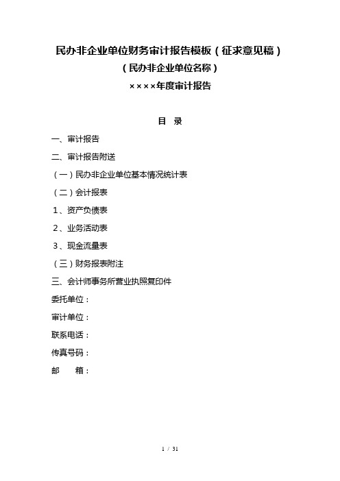 民办非企业单位财务审计报告模板