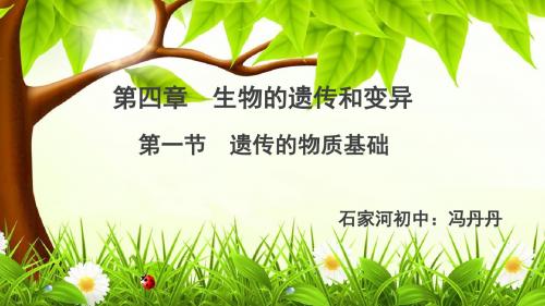 4.1遗传的物质基础