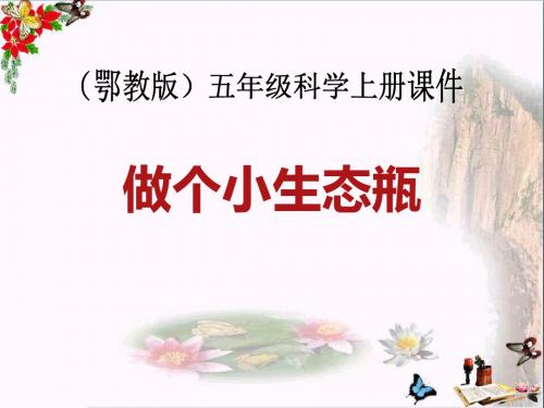 《做个小生态瓶》池塘群落PPT优秀课件2