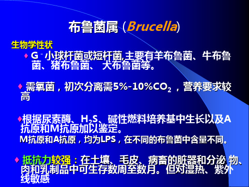 动物源性细菌中山大学微生物学