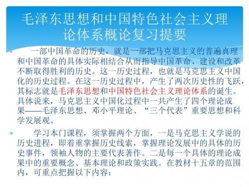 毛概复习,主观题-PPT文档资料
