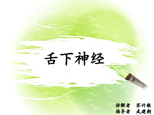 舌下神经解剖知识