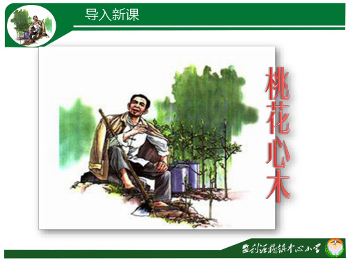 人教版六年级语文下册《桃花心木》