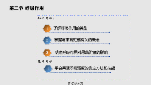 第二节呼吸作用PPT课件