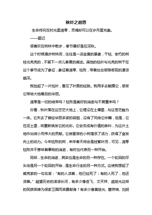 初一作文：秋叶之遐想作文800字