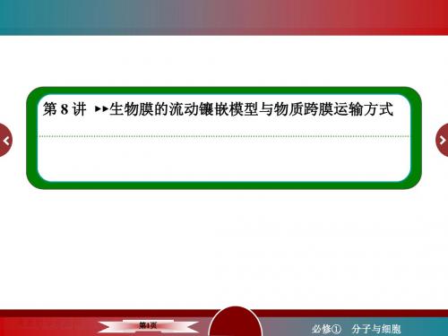 高三生物一轮复习 生物膜流动镶嵌模型与物质跨膜运输方式