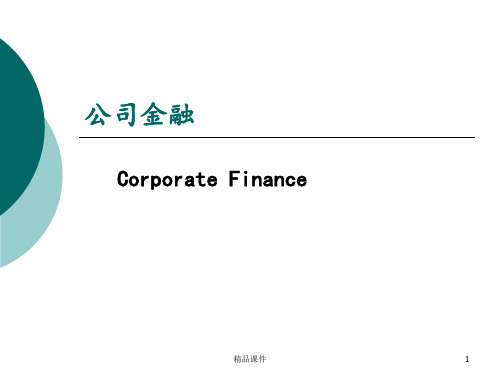 公司金融公司理财第二章